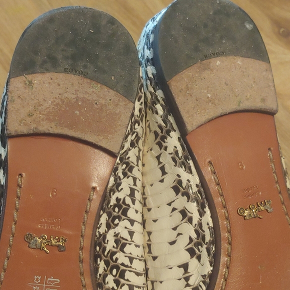 Coach Lola ballet flat in black white snake print - Picture 10 of 14